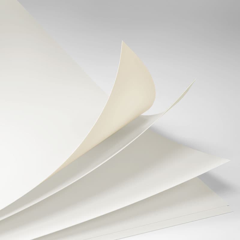 FBB Cardboard