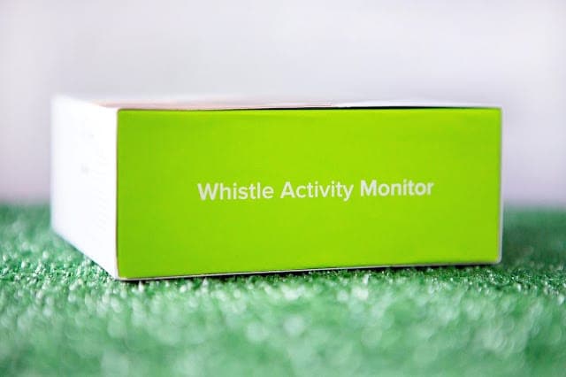designwomb_portfolio-