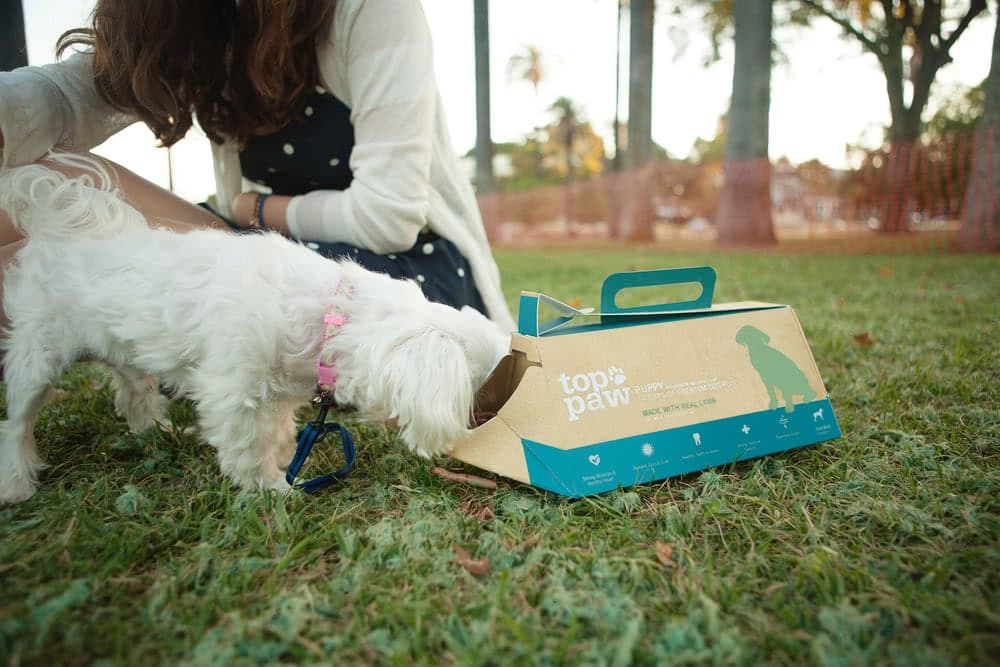 packaging croccantini