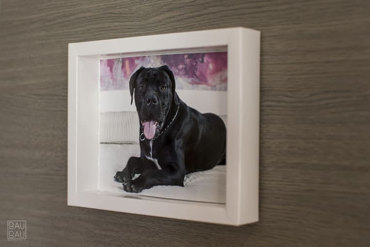 Cornice personalizzata per foto baubau