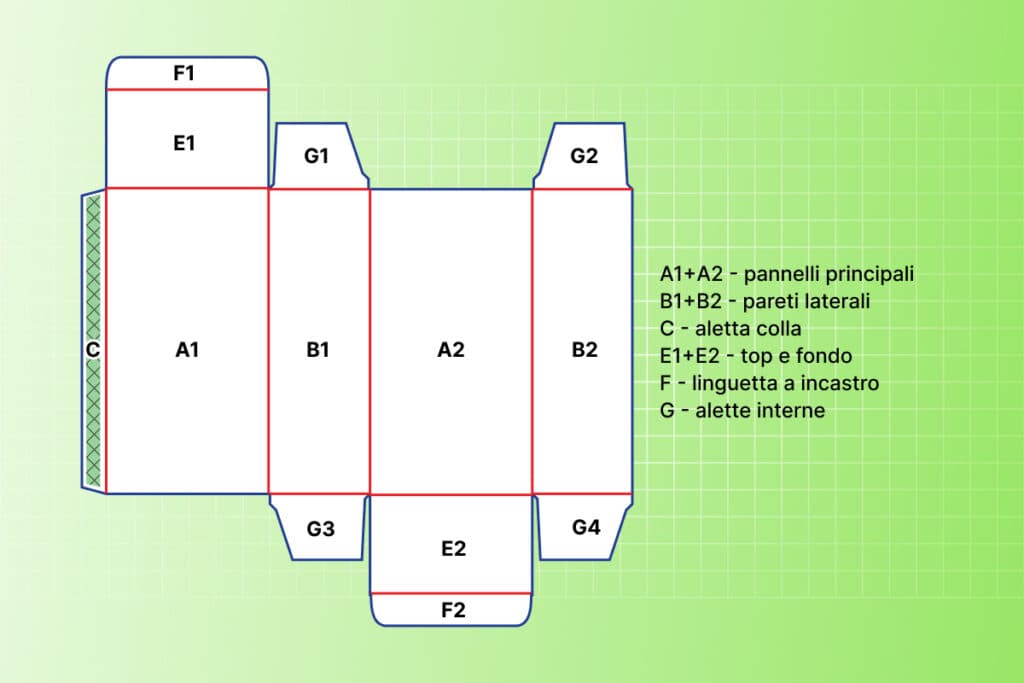 Sezioni del corpo della scatola