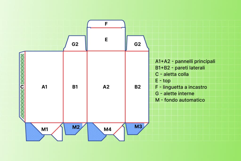 Sezioni del corpo della scatola