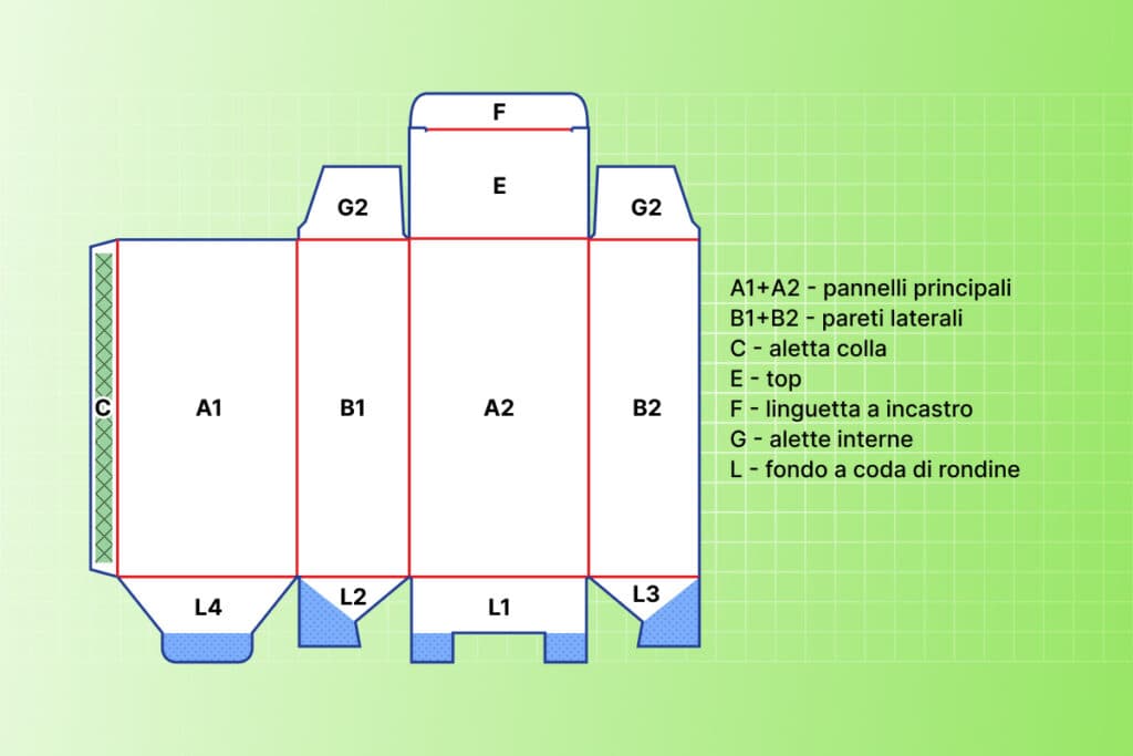 Sezioni del corpo della scatola