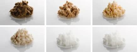 sbiancamento carta chlorine free