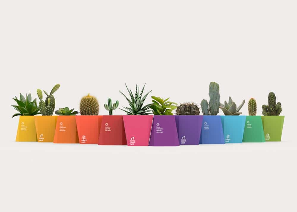 packaging per cacti modulari