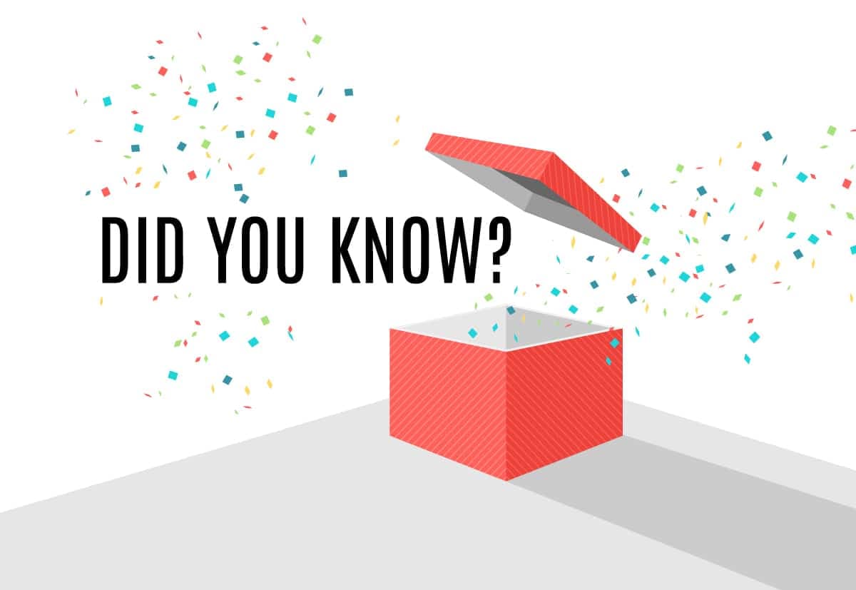 fun facts cardboard box