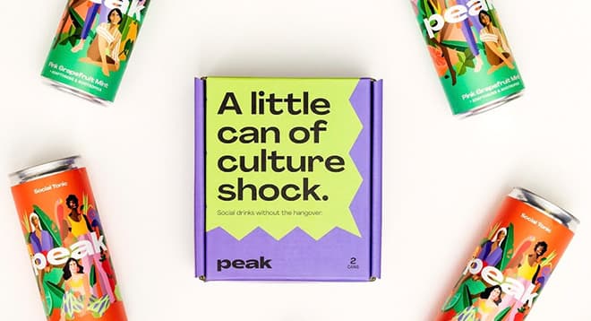 Vista frontale scatola a valigetta Pea