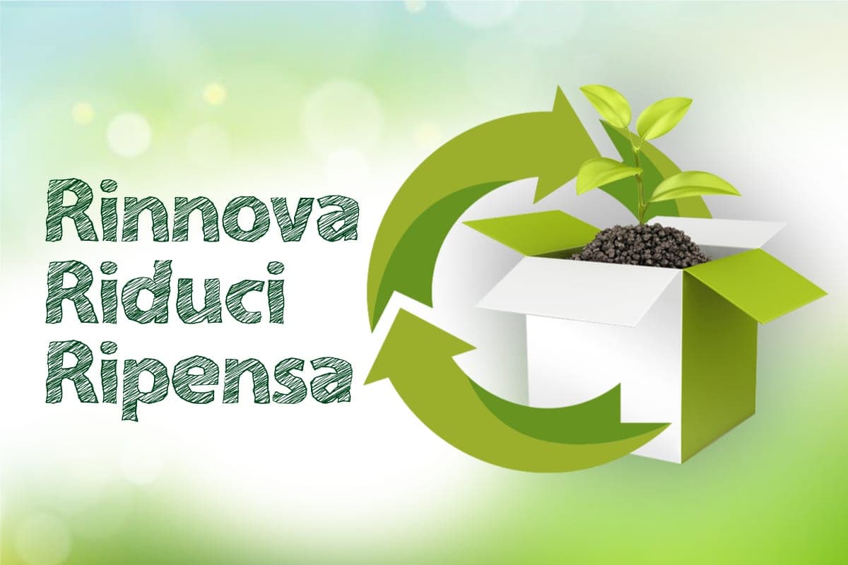 packaging sostenibile come progettare