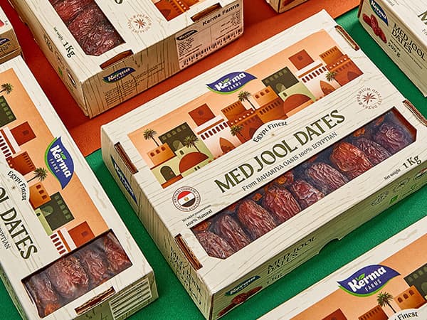 Egyptian dates packaging for export