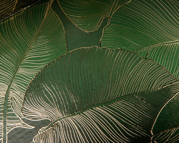 Detail on the gold foil of the total white box