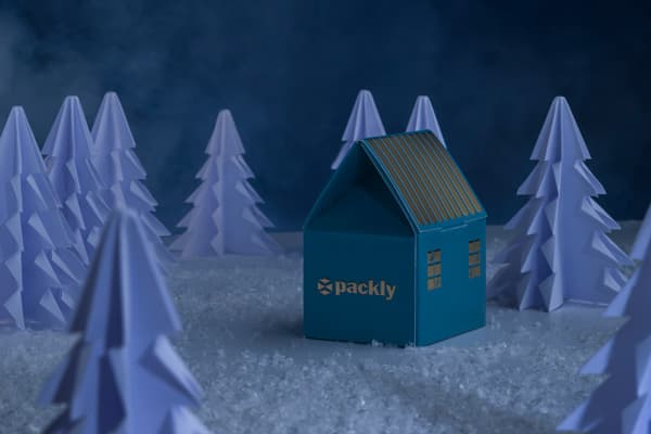 Scatola a soffietto: il packaging come contenitore d'effetto