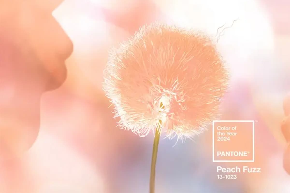 pantone peach fuzz