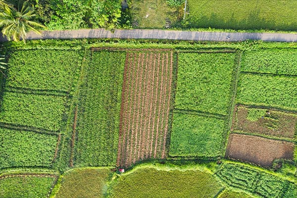 Agriculture intensive vue d'en haut.