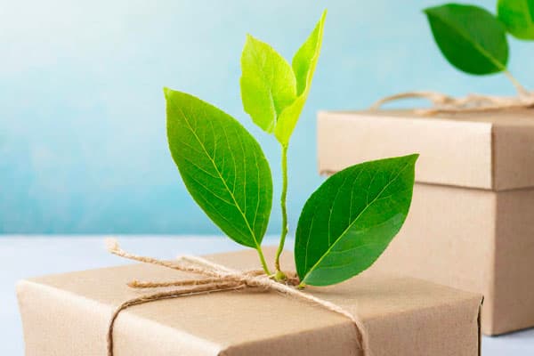 Deux boîtes en carton kraft emballées avec des feuilles vertes