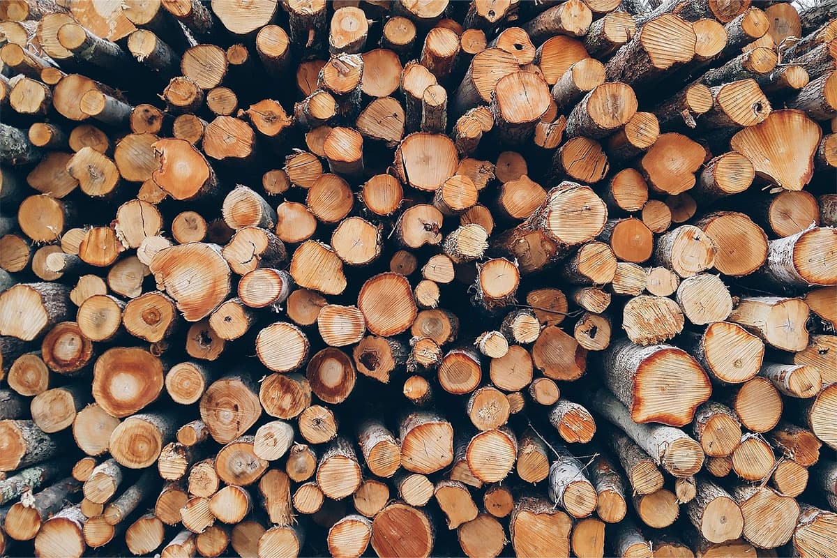 Madera cuidadosamente apilada.