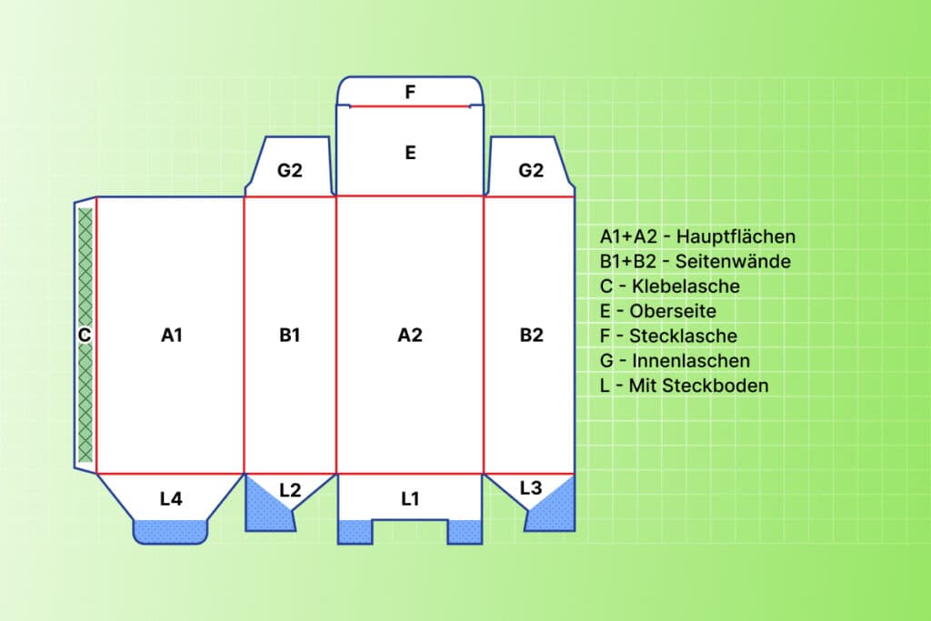 Körpersegmente der Schachtel