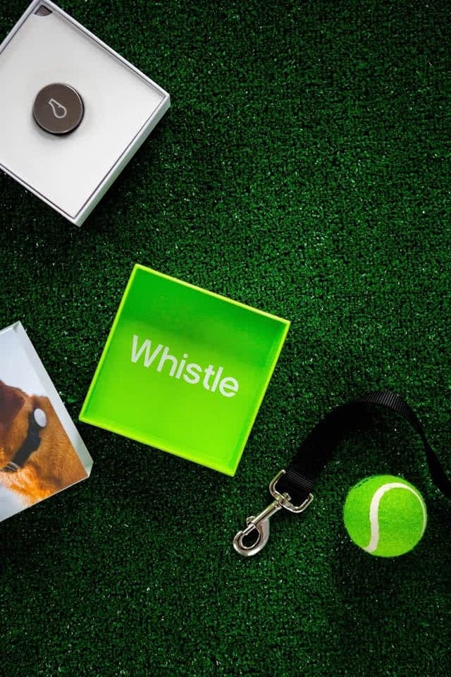 activity monitor box