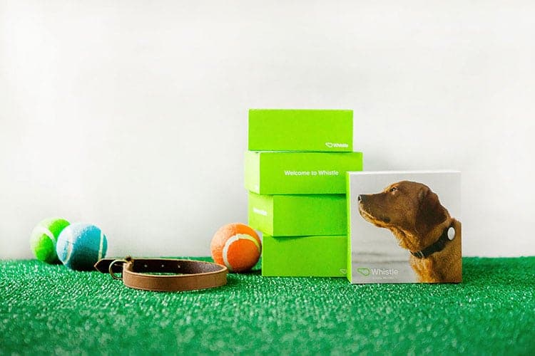 activity sensor packages