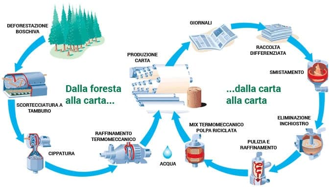 ciclo produttivo carta fibra vergine e riciclata-01