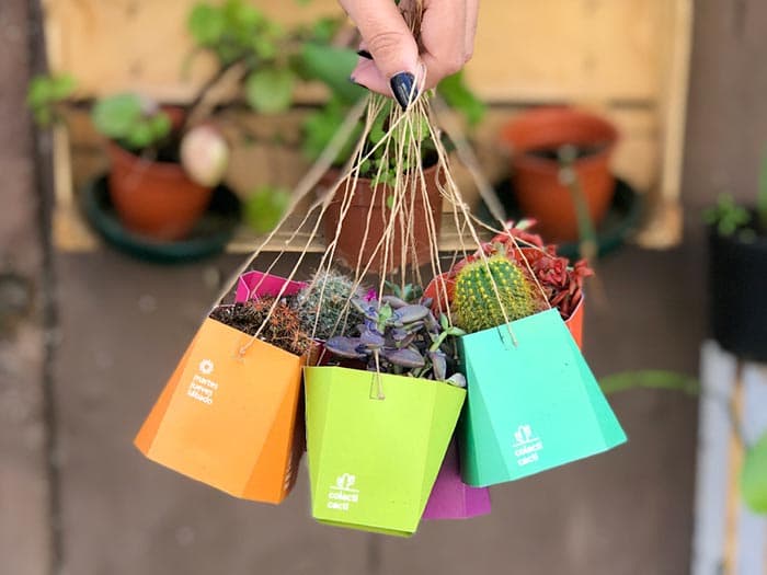 cacti custom packaging design