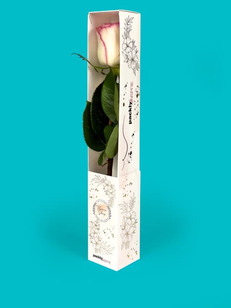 Packaging for flowers and plants