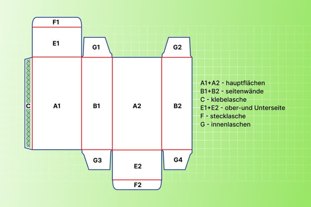 Körpersegmente der Schachtel