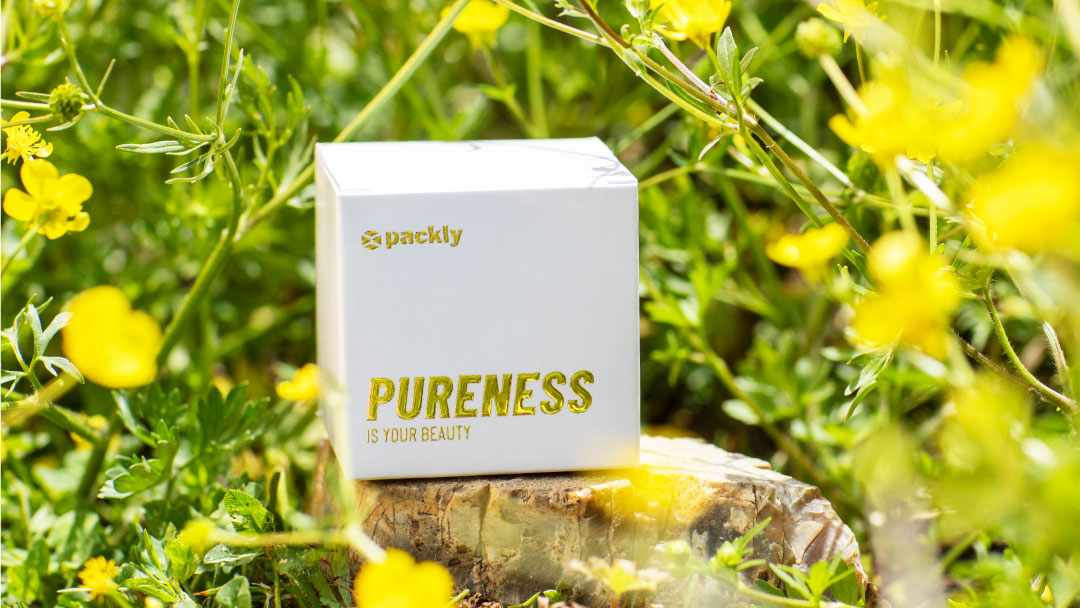 packly-green-box-3