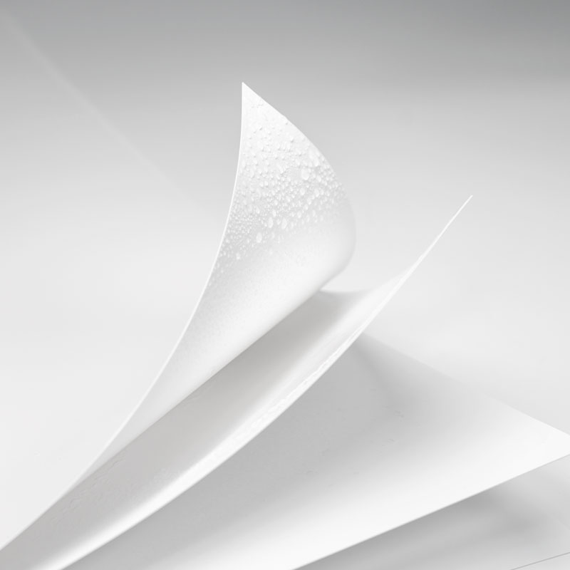 Moisture-Proof Cardboard